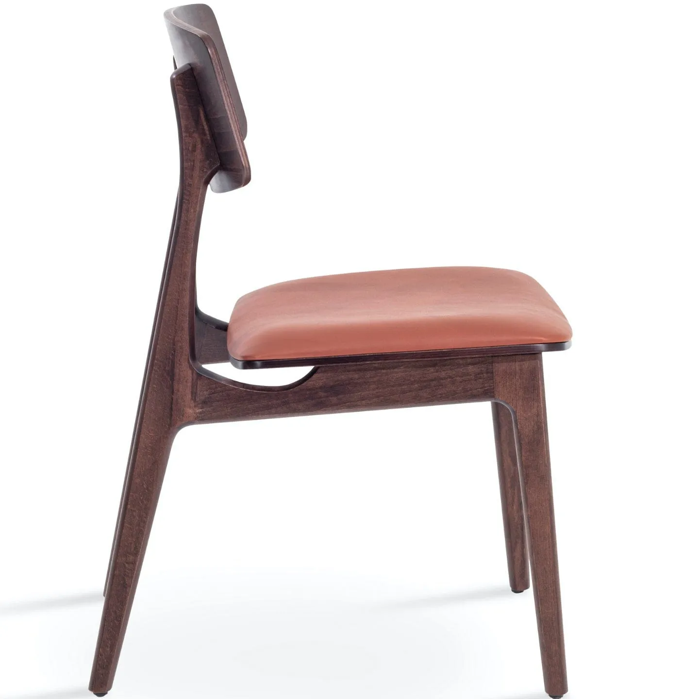 Brown Dining Chairs Bacco Cinnamon