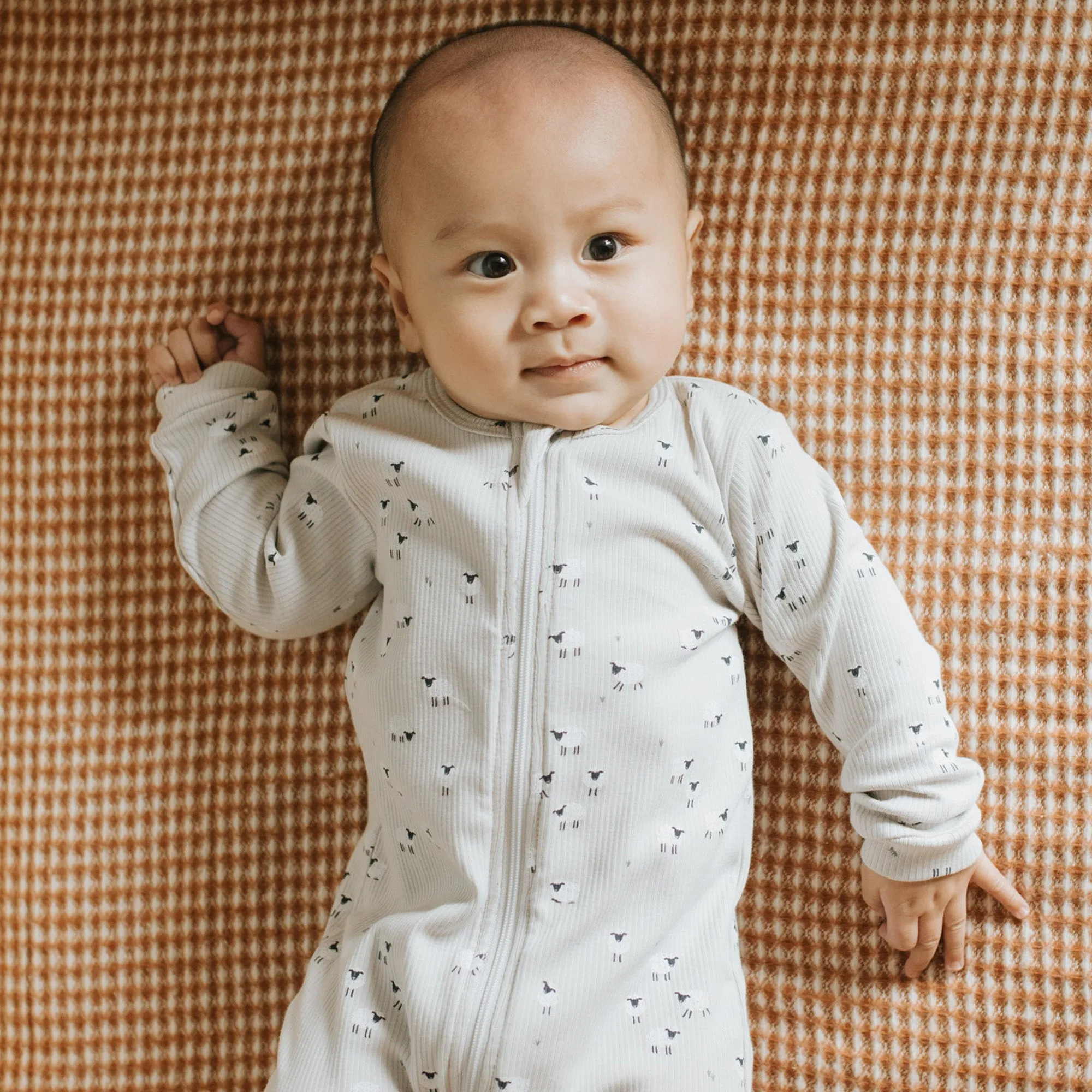 Unisex Sheep Footie