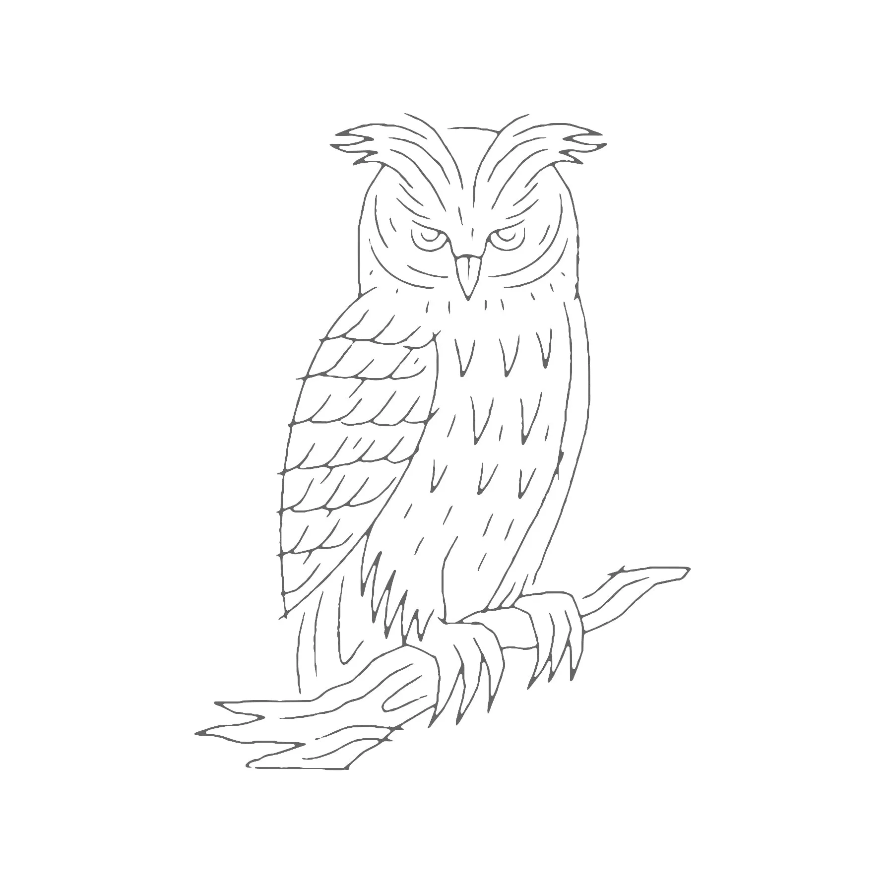 Wise Guy // Limited Edition